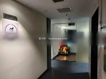 클라우드나인