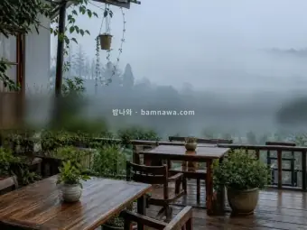 달랏 에코걸