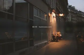 나트랑 에코걸